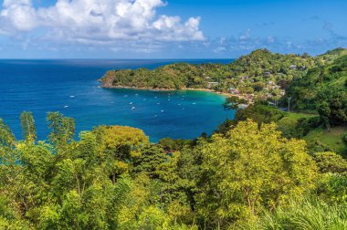 Tobago 'daki Castara Körfezi' nin üzerinden geçen ağaçlar Ocak ayının aydınlık bir gününde