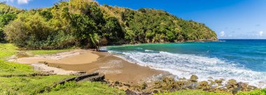 Ocak ayının aydınlık bir gününde Tobago 'daki Küçük İngilizler Körfezi' nden bir manzara