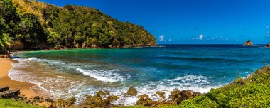Ocak ayının aydınlık bir gününde Tobago 'daki Küçük İngilizler Körfezi' nde bir manzara.