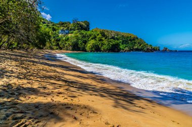 Ocak ayında Tobago 'daki İngiliz Körfezi' nde ağaçların altından batıya bakan bir manzara.