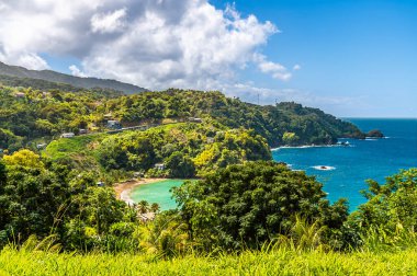 Ocak ayında Tobago 'daki Charlotteville Körfezi kıyısında bir manzara.