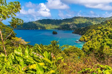Ocak ayının aydınlık bir gününde Tobago 'daki Man O War Körfezi' ne bakan bir manzara
