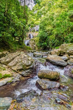 Ocak ayında Tobago 'da Argyle nehrinin yukarısına doğru hızlı bir açılım.