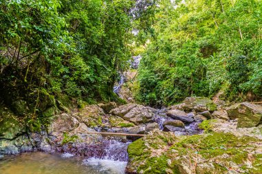 Ocak ayında Tobago 'da Argyle nehrinin aşağısındaki bir yol görünüyor.