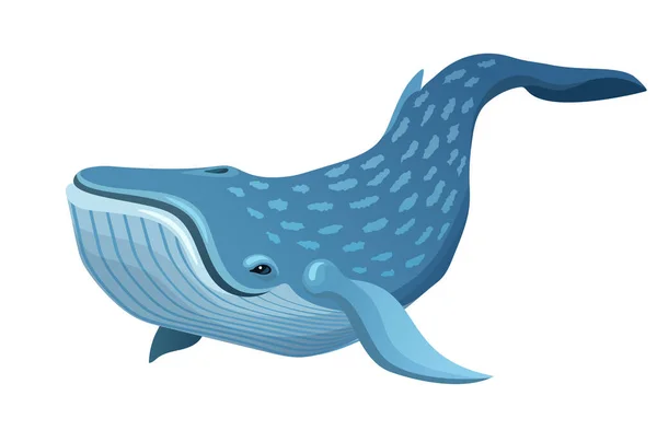 Vector Cute Cartoon Blue Whale Isolated White Background — Stock Vector