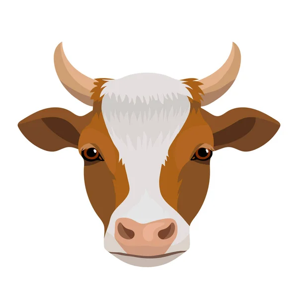 Vetor Vaca Vermelha Com Mancha Branca —  Vetores de Stock
