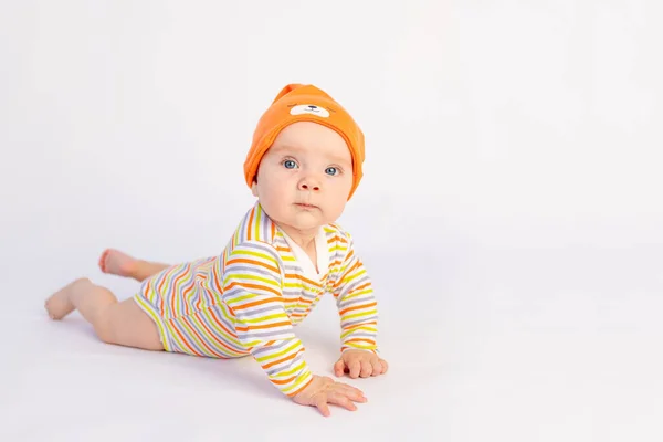 Pequena Menina Sorridente Meses Idade Encontra Fundo Isolado Branco Bodysuit — Fotografia de Stock