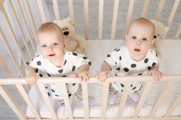 Dos Hermanos Gemelos Bebé Hermana Meses Sientan Pijama Cuna Mirar —  Fotos de Stock