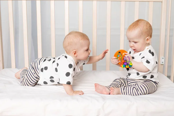 two twin babies 8 months old play in the crib, early development of children up to a year, the concept of the relationship of children of brother and sister, the child takes the toy from the other
