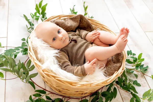Small Child Boy Lies Basket Leaves Looks Camera — Stock Photo, Image