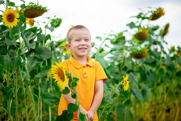 Menino Feliz Está Campo Com Girassóis Verão Modo Vida Uma — Fotografia de Stock