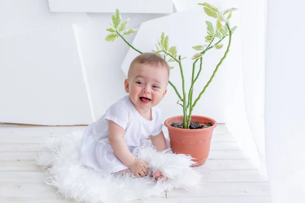 Bebé Feliz Sentado Cerca Ventana Casa Con Una Planta — Foto de Stock
