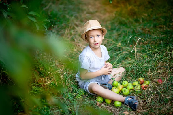 Beş Yaşındaki Bir Çocuk Elma Ağaçlı Bir Bahçede Çimlerin Üzerinde — Stok fotoğraf