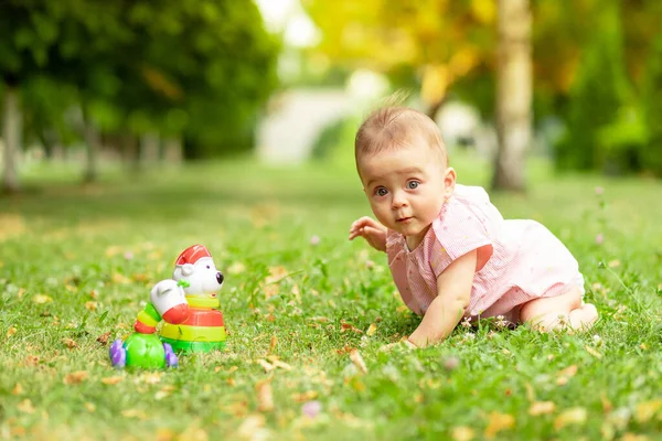 Baby Girl Playing Pyramid Lawn Summer Play Fresh Air Concept — Stock Photo, Image