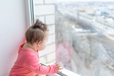 Bebek pencere pervazında oturur ve sokağa bakar.