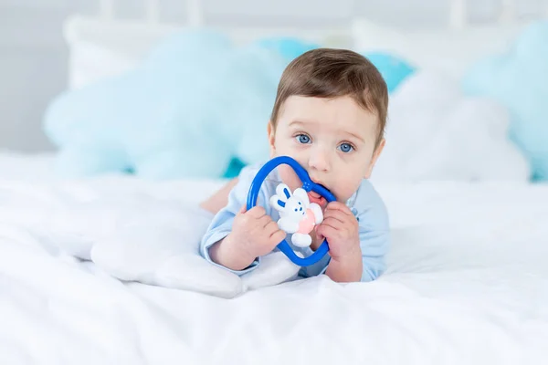 Baby Boy Rodent Teething Rattle Bed Sleeping Healthy Happy Little — 스톡 사진