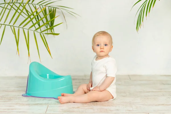 Baby Boy Blonde White Bodysuit Blue Pot Floor House — Stock Photo, Image
