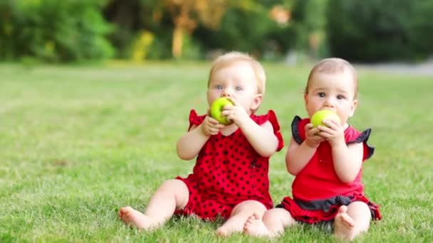 Duas meninas com maçãs verdes em suas mãos estão sentadas fora no gramado da grama e comendo frutas, espaço para texto — Vídeo de Stock