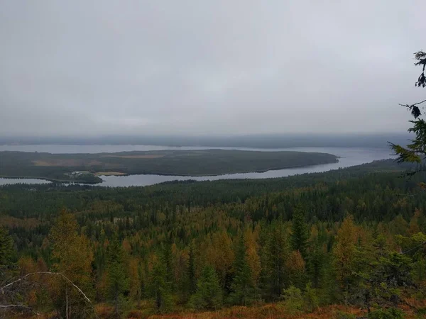 Niebla Sobre Bosque Con Río Corriendo Por Debajo — Foto de Stock