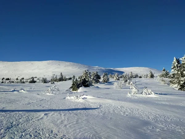 太陽と青空が広がる山の中のスキー場 — ストック写真