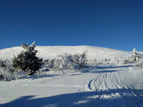 雪と太陽と青空の冬の風景 — ストック写真