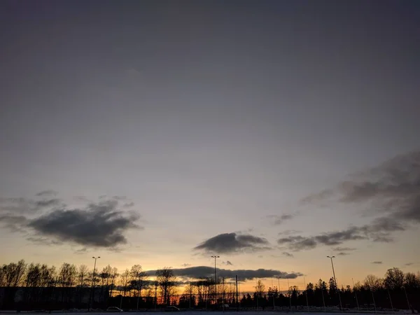 Beautiful Sunset Some Trees City — Stock Photo, Image