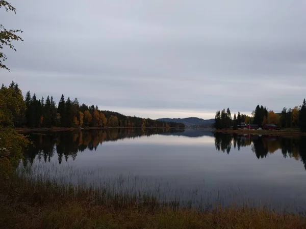 Återspegling Träd Sjön Hösten — Stockfoto