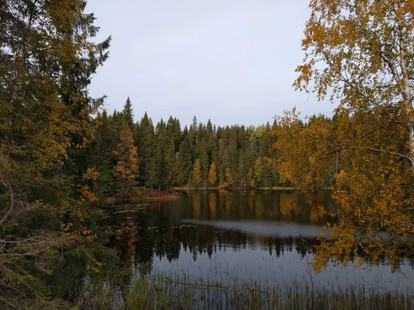 Höstträd Reflekteras Vatten — Stockfoto