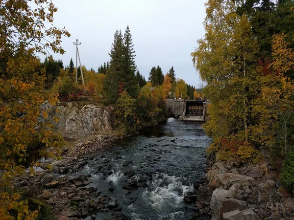 Herfst Het Bos Met Een Rivier Die Van Het Meer — Stockfoto