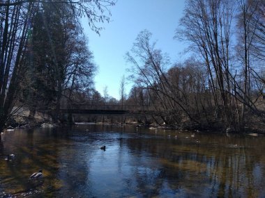 Baharda parktaki nehirde.