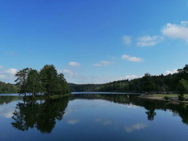 İlkbaharda ormandaki göl