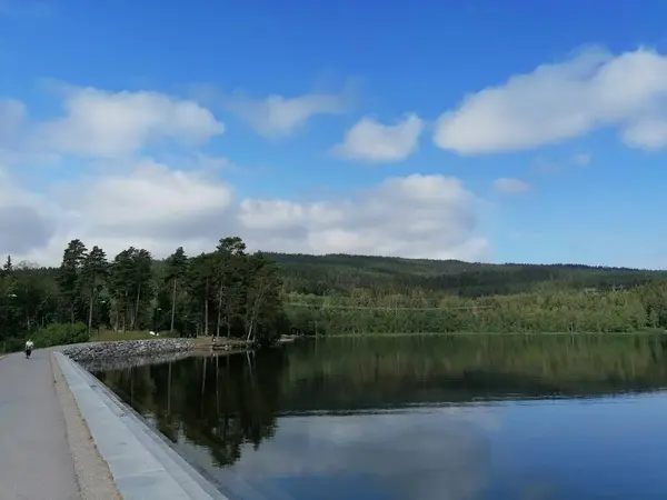 Återspegling Träd Sjön — Stockfoto