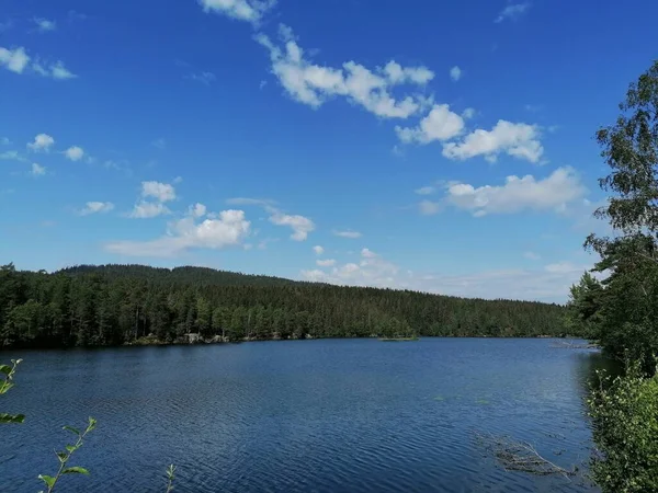 Meer Het Bos Het Voorjaar — Stockfoto