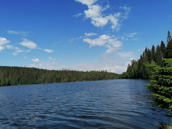Jezero Lese Jaře — Stock fotografie