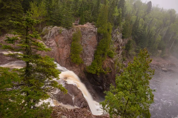 緑豊かな森の中に流れる滝 — ストック写真