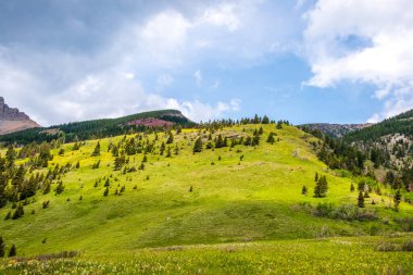 Amerika Birleşik Devletleri 'nin batısında güzel bir yaz günü tepesi. Manzara manzarası