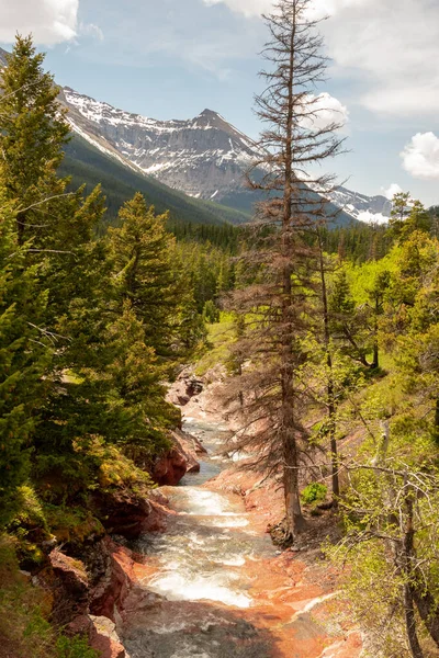 Água Que Flui Sobre Rochas Nas Montanhas Parque Nacional Glacier — Fotografia de Stock