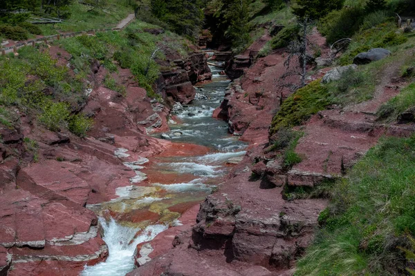 水流过小裂缝 水冲的岩石 绿叶茂密 — 图库照片