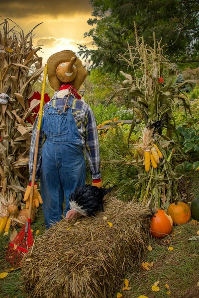 Seasonal Garden Sperietoare Ceas Picioare Recolta Toamnă — Fotografie, imagine de stoc