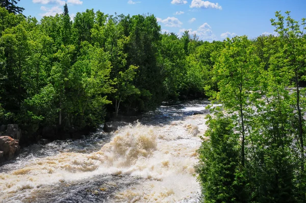 Vista Del Fiume Nella Foresta Una Giornata Nuvolosa — Foto Stock