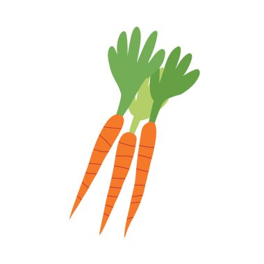 Elle çizilmiş, hoş bir havuç. Vektör izole illüstrasyonu.