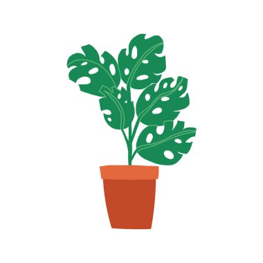 Şık oturma odası iç dekorasyonu, saksı peyniri bitkisi veya egzotik palmiye ağacı..