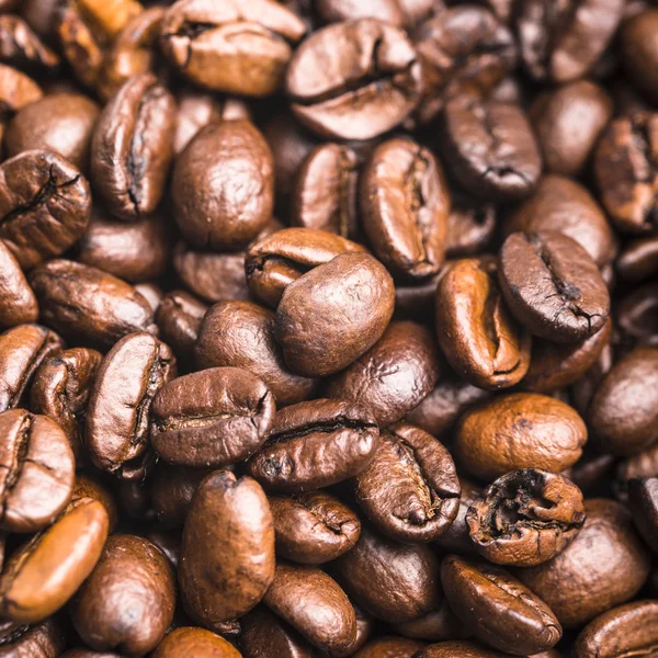 Coffee beans background — Stock Photo, Image