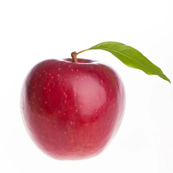Grande maçã fresca — Fotografia de Stock
