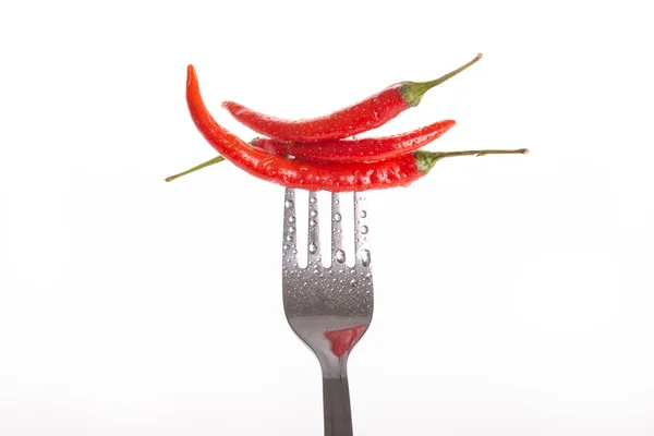 Chili pepper vztyčené na ocelové vidlice izolované — Stock fotografie