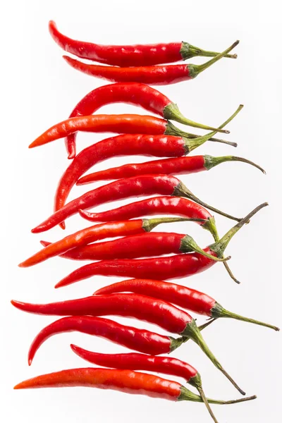 Chilies isolated on white background — Stock Photo, Image