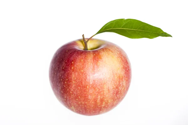 Beyaz arkaplanda izole edilmiş taze elma — Stok fotoğraf