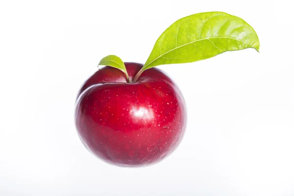 Red plum isolated on white background — Stock Photo, Image