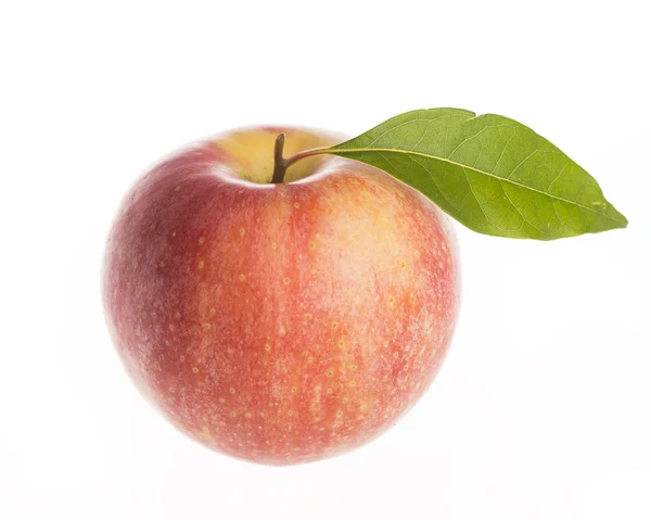 पांढरा पार्श्वभूमीवर ताजे सफरचंद वेगळे — स्टॉक फोटो, इमेज