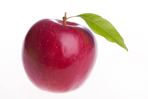 Verse appel geïsoleerd op witte achtergrond — Stockfoto